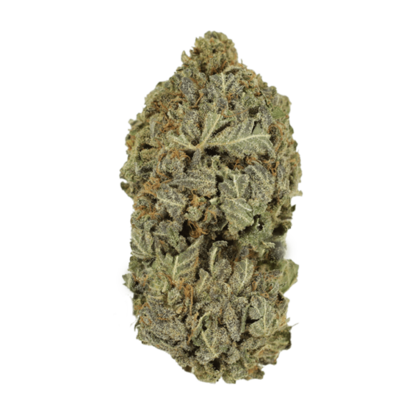 Purple Dream | MMJDirect Canada