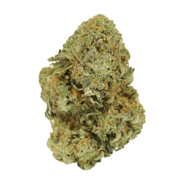Watermelon Gelato | MMJDirect Canada