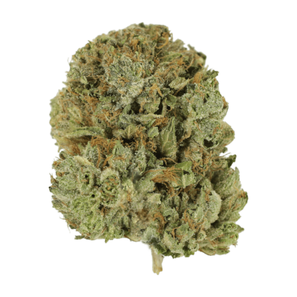 Pink Taco | MMJDirect Canada