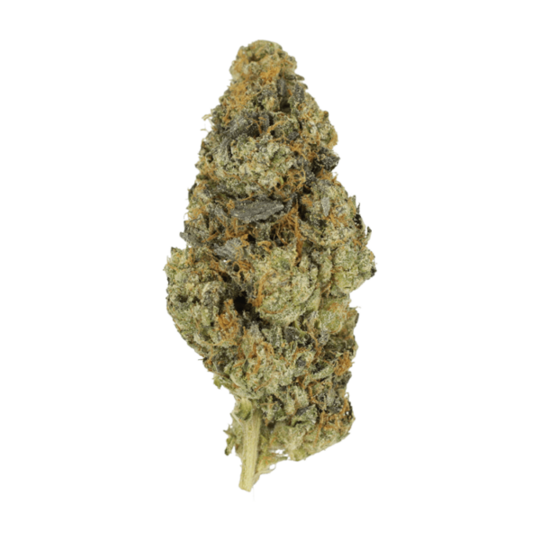 DoSi Face | MMJDirect Canada