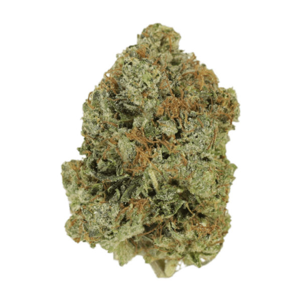 Jack Herer (popcorn) | MMJDirect Canada