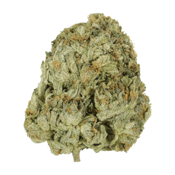 Godzilla Glue | MMJDirect Canada