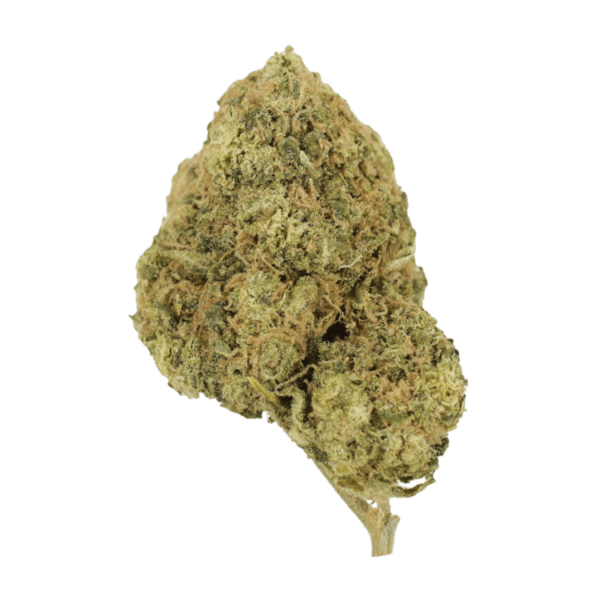 Laughing Buddha | MMJDirect Canada