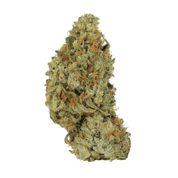 Pink Hawaiian | MMJDirect Canada