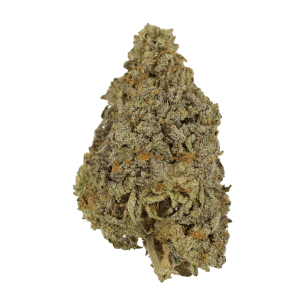 Frosty Gelato | MMJDirect Canada