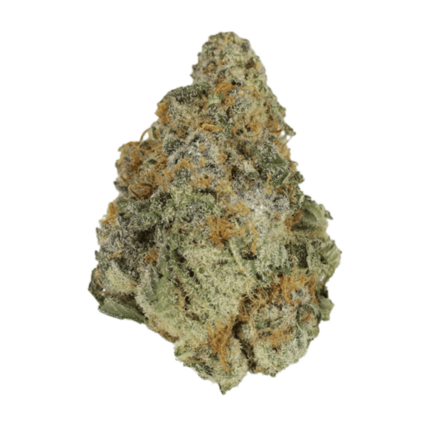 Purple Hindu Kush | MMJDirect Canada