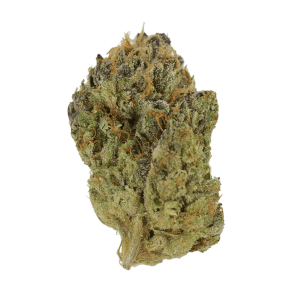 Blueberry Muffin | MMJDirect Canada