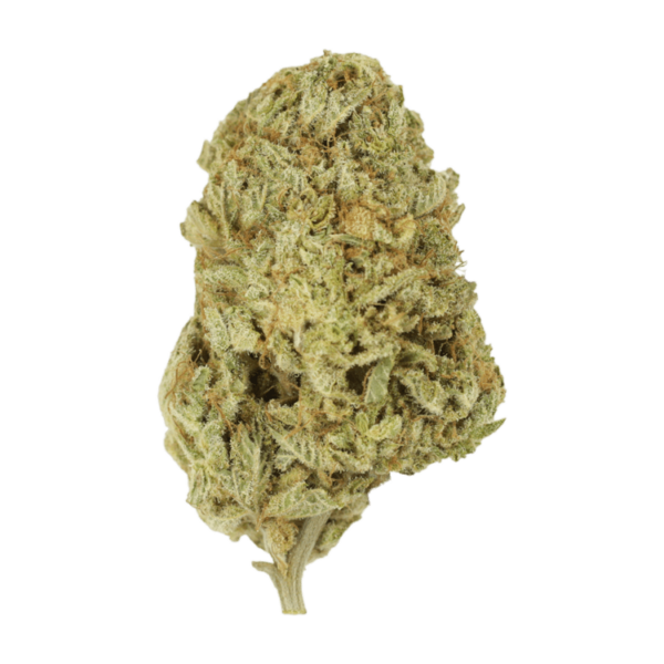 Face Mints | MMJDirect Canada