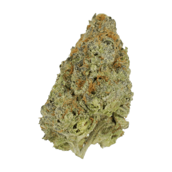 Lilac Diesel | MMJDirect Canada