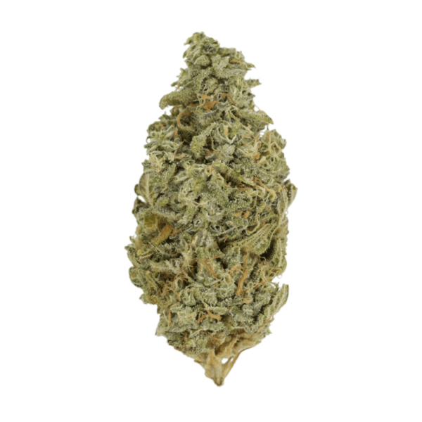 Orange Cookies | MMJDirect Canada
