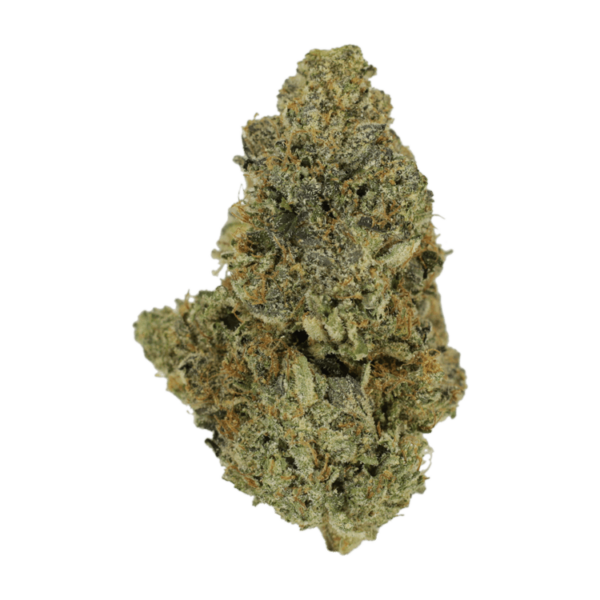 Purple Urkle | MMJDirect Canada