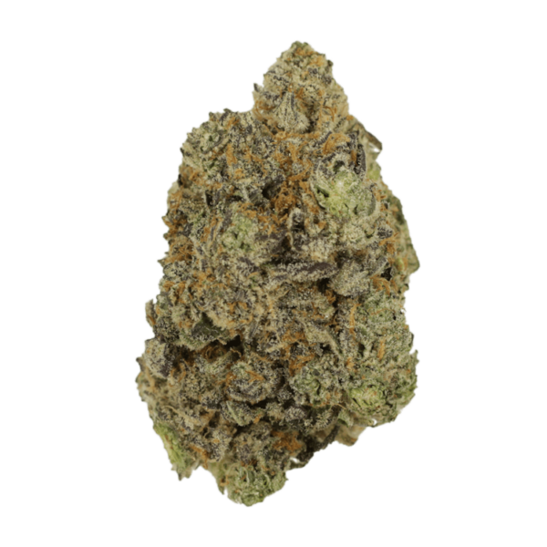 Hash Plant | MMJDirect Canada