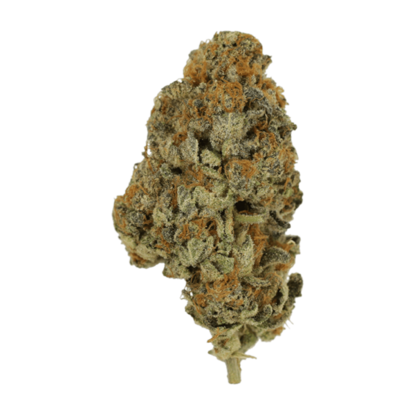 Key Lime Pie | MMJDirect Canada