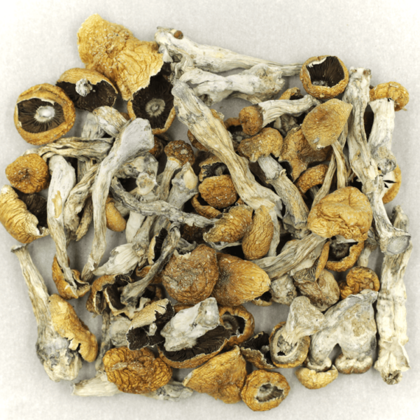 Orissa | MMJDirect Canada