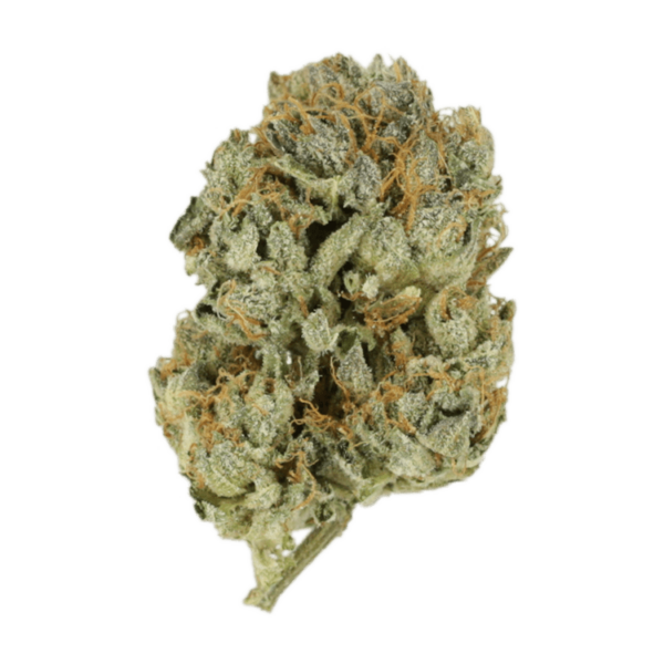 Kashmir Kush | MMJDirect Canada