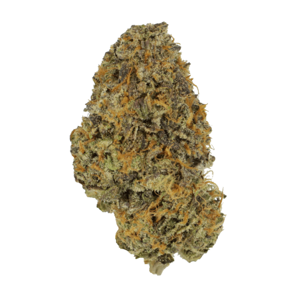 Blackberry Nightmare | MMJDirect Canada