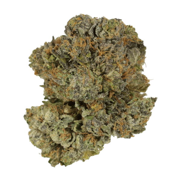 Chocolate Mint | MMJDirect Canada
