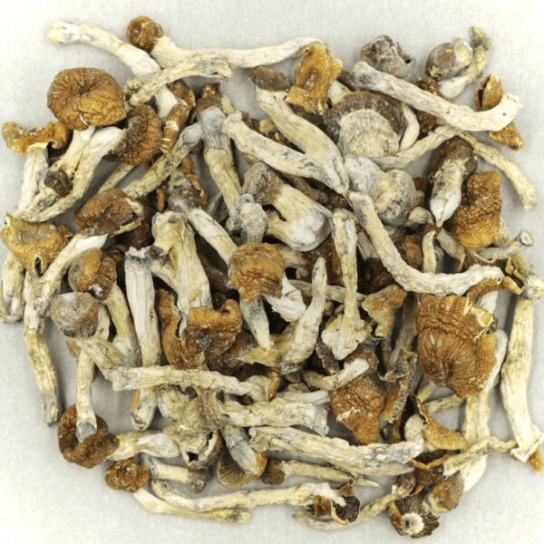 Florida White | MMJDirect Canada