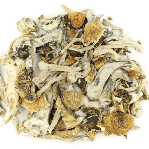 Lizard King | MMJDirect Canada