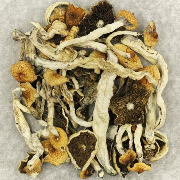 Cuban | MMJDirect Canada