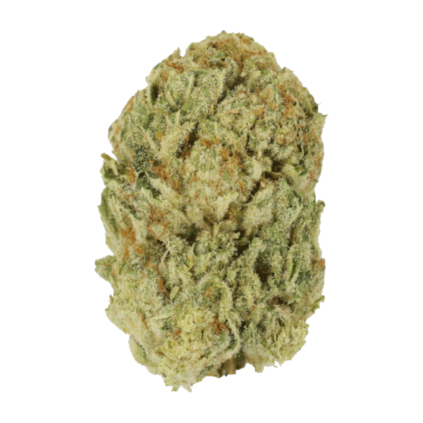 Trap Star | MMJDirect Canada