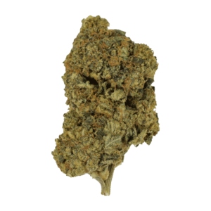 Cherry Punch | MMJDirect Canada