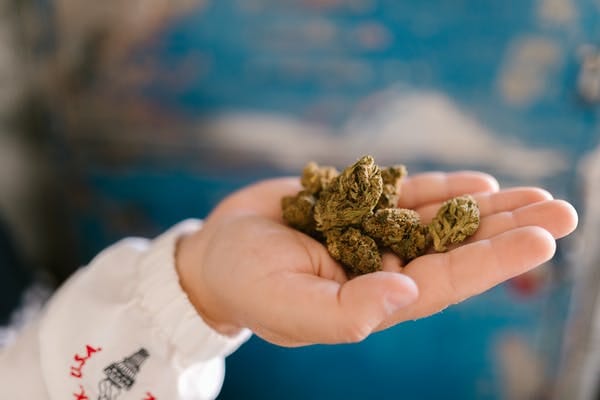 Buy cannabis Online Nunavut | MMJDirect Canada | MMJDirect Canada