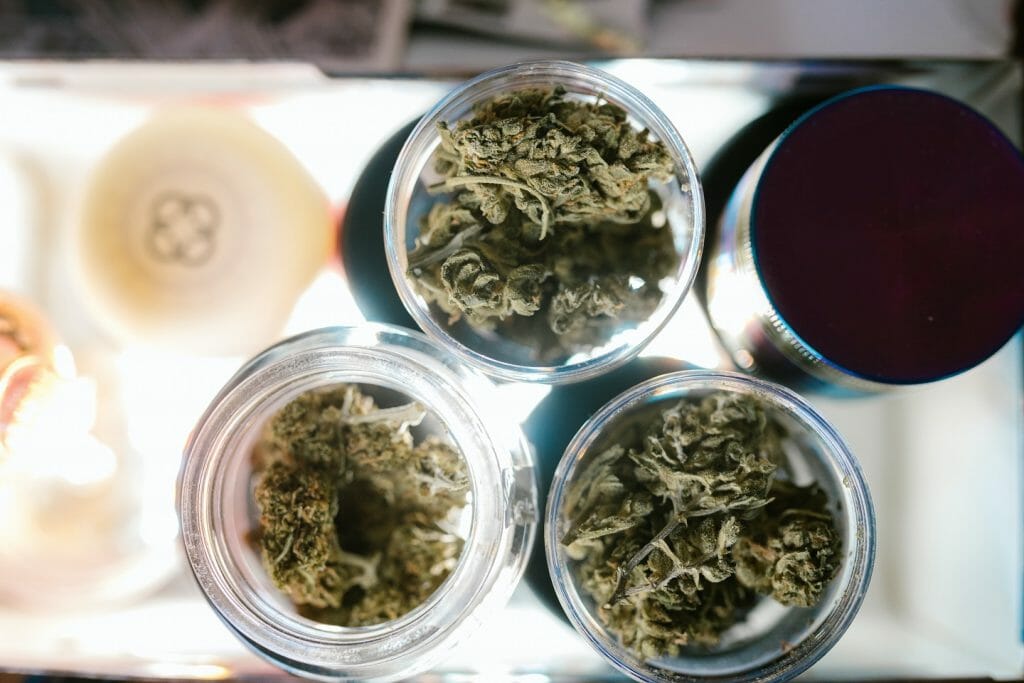 Best cannabis in Canada: Finding the Premium Hybrid Strains | MMJDirect Canada | MMJDirect Canada