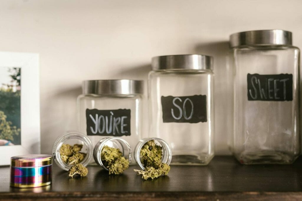 Beyond the Bud: The Role of a cannabis Dispensary in Promoting Wellness | MMJDirect Canada | MMJDirect Canada