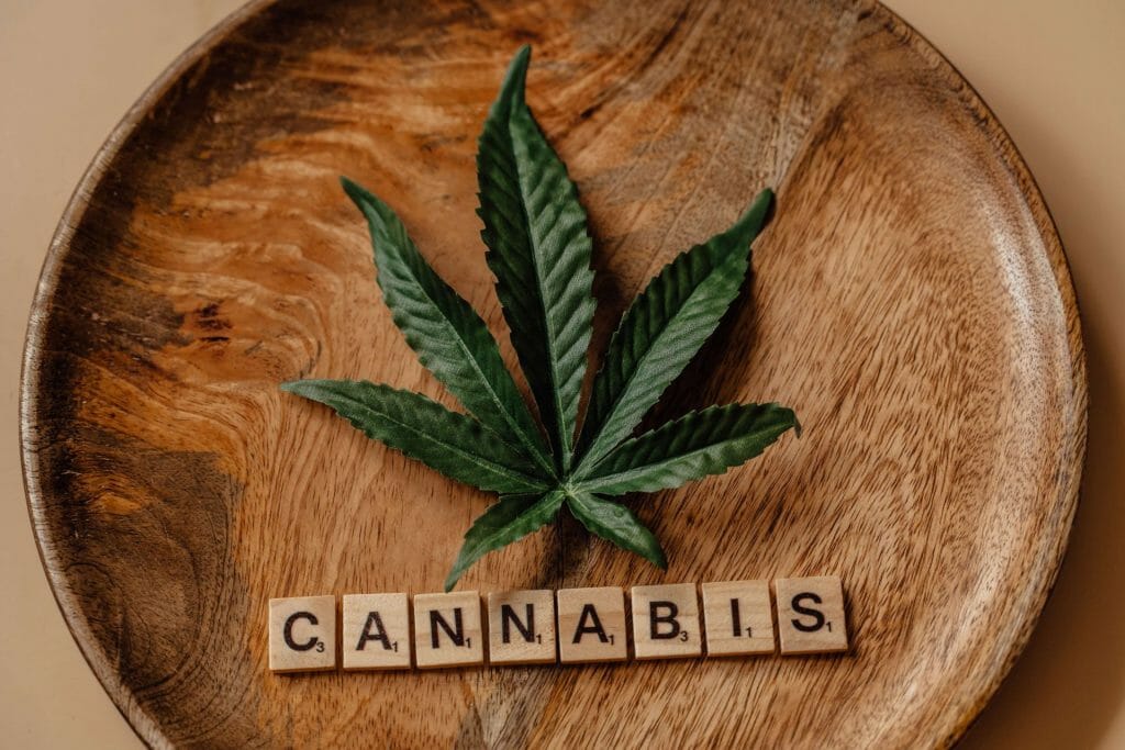Beyond the Bud: The Role of a cannabis Dispensary in Promoting Wellness | MMJDirect Canada | MMJDirect Canada