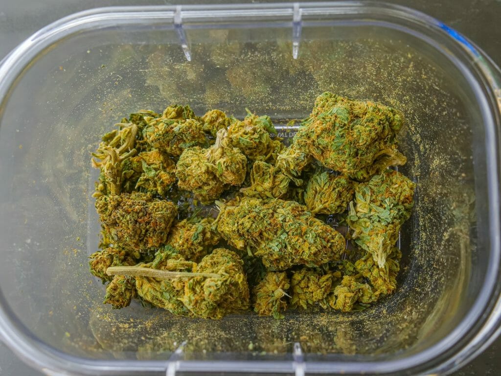 Best cannabis in Canada: Finding the Premium Hybrid Strains | MMJDirect Canada | MMJDirect Canada