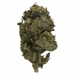 MMJDirect Canada - Pink Gas Strain | MMJDirect Canada