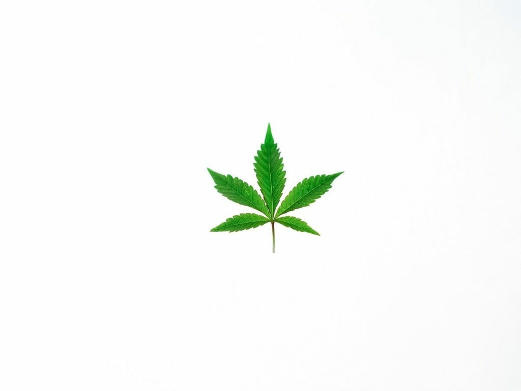 Benefits of Shopping in a BC cannabis Online Dispensary | MMJDirect Canada
