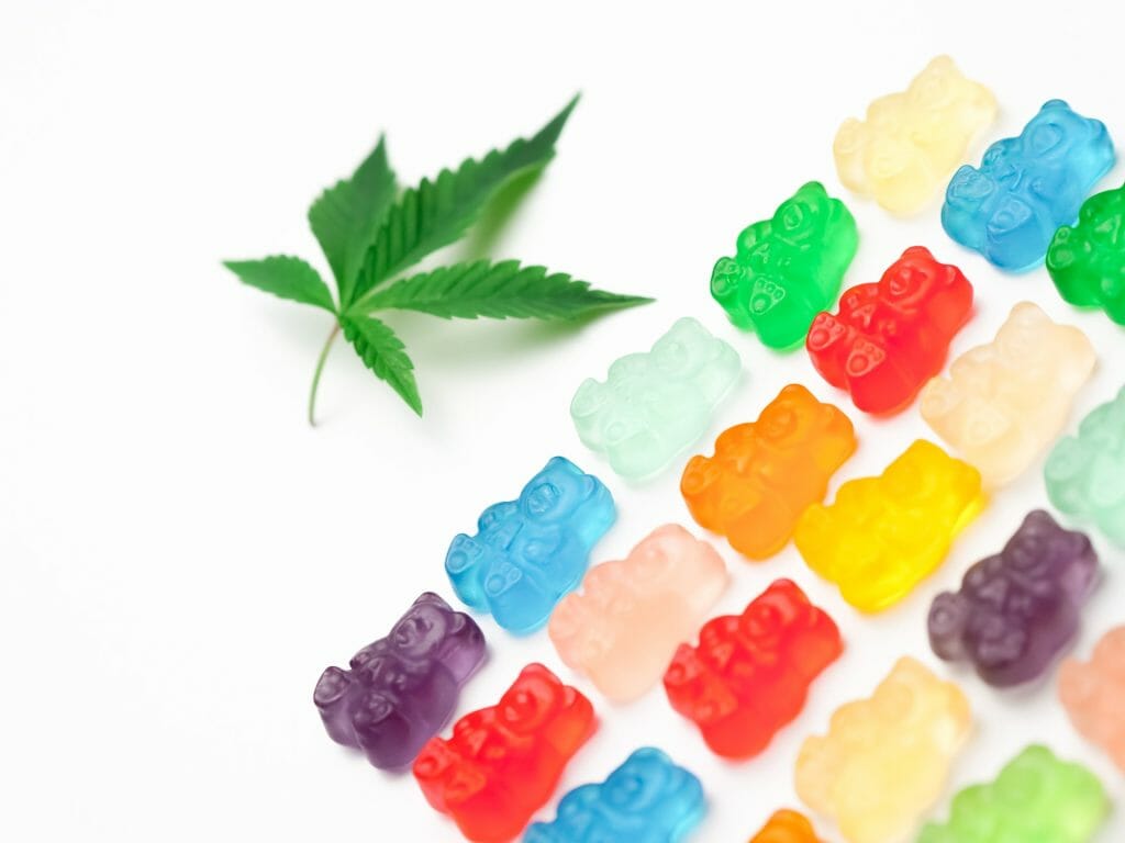 Edible Delights: A Guide to the Most Delicious cannabis in Edmonton | MMJDirect Canada | MMJDirect Canada