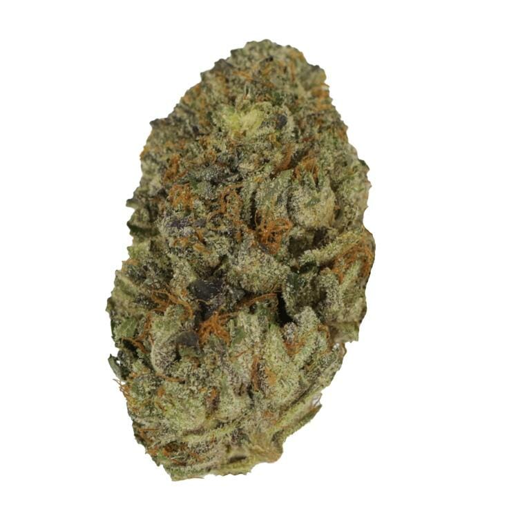 Snoop Dogg OG | MMJDirect Canada Snoop Dogg OG | MMJDirect Canada