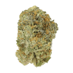 Slurricane | MMJDirect Canada