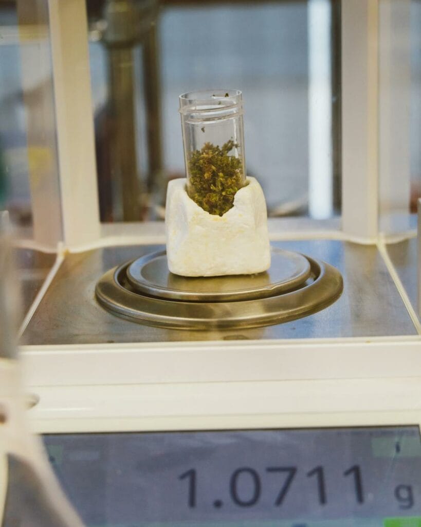 1 Gram of Weed