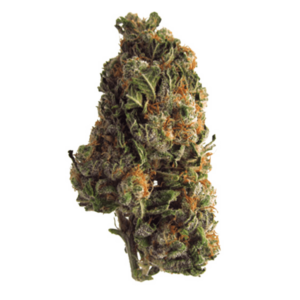 Grape Crush | MMJDirect Canada