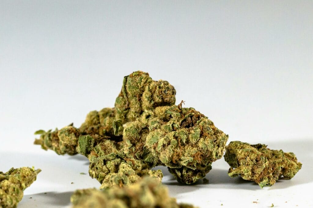 Buy Indica Online 