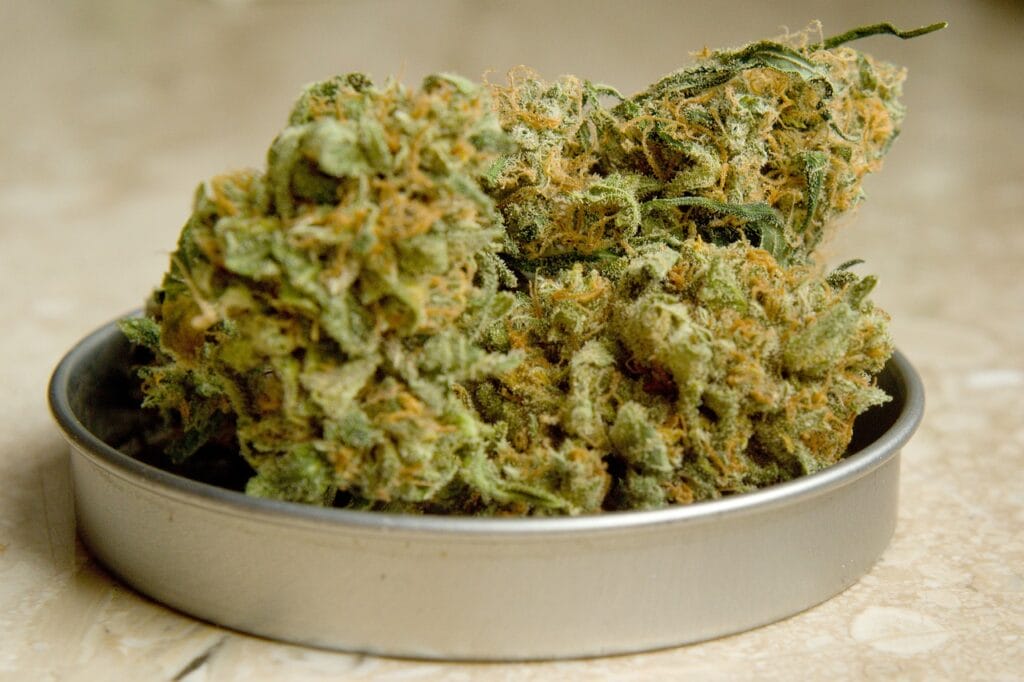 Buy Sativa cannabis in Canada