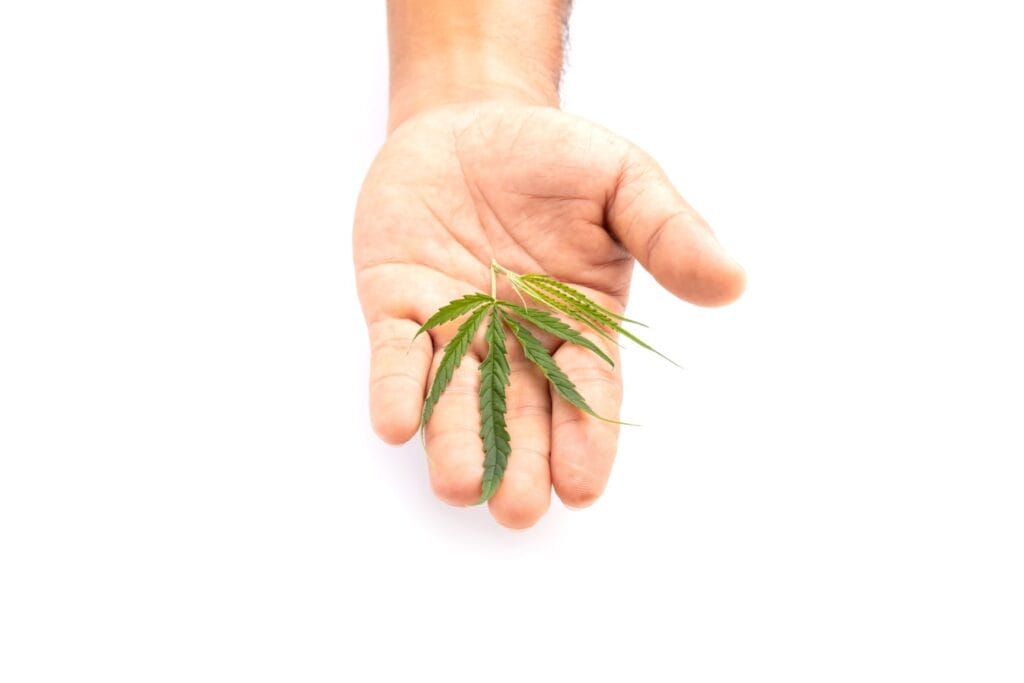 Buy cannabis online in Canada