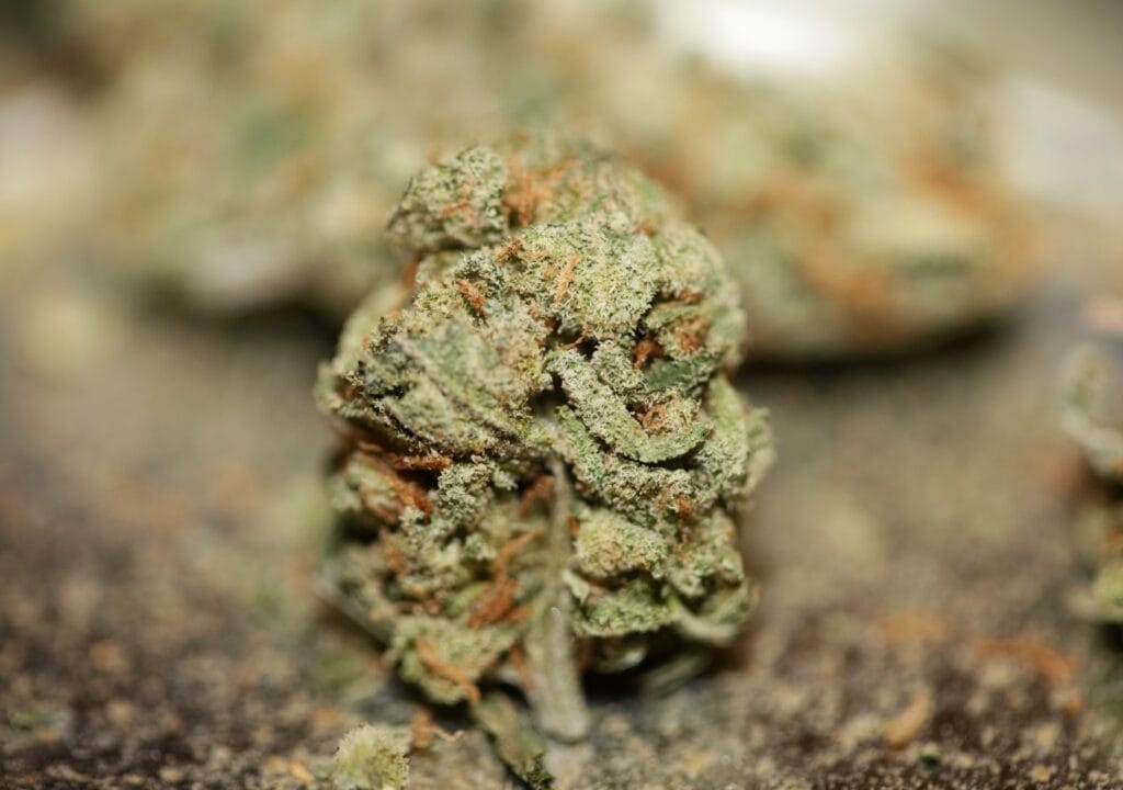 Buy sativa cannabis in Canada