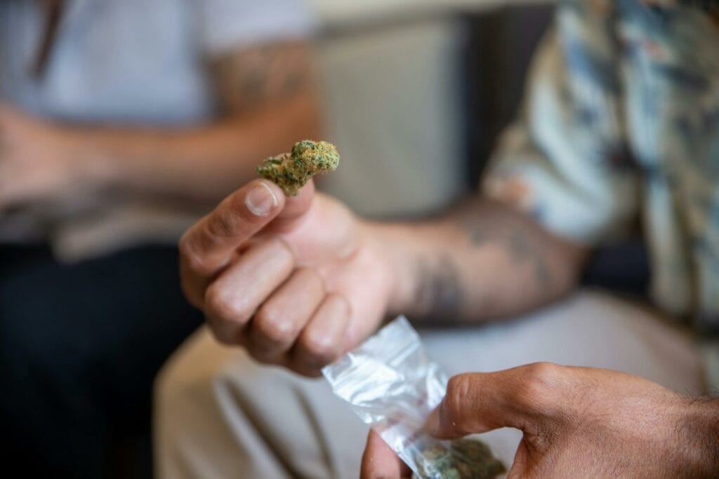 buy cannabis online