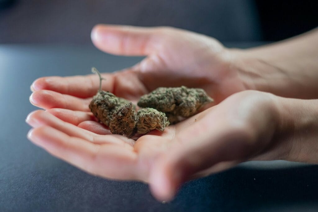 cheap cannabis online Canada